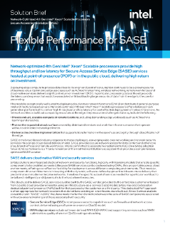 Flexible Performance for SASE Solution Brief