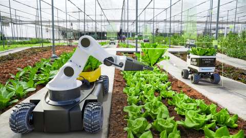 Private 5G network-connected smart agriculture robots tend to crops in an outdoor environment